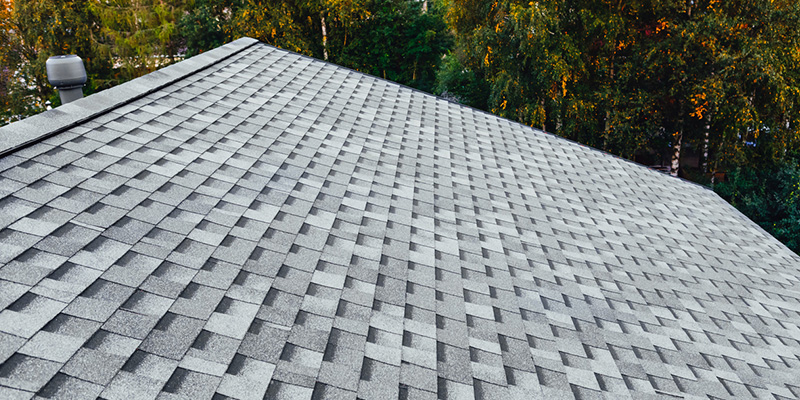What to Expect During a Professional Roofing Inspection